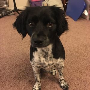 Meet your Posher, Marco